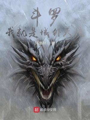 斗罗大陆之我就是无敌