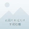 苏州千里鹿服饰有限公司电话号码