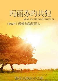傲慢与偏见之玛丽的叛逆