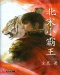 小霸王 百科