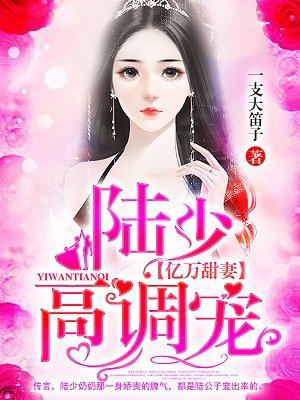 亿万盛宠陆少掌中宝妻