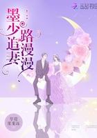 墨少追妻路漫漫盘